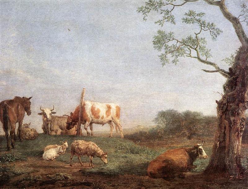 POTTER, Paulus Resting Herd a Spain oil painting art